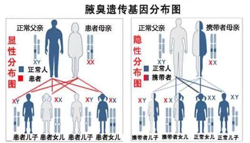 治疗狐臭哪家医院比较好?